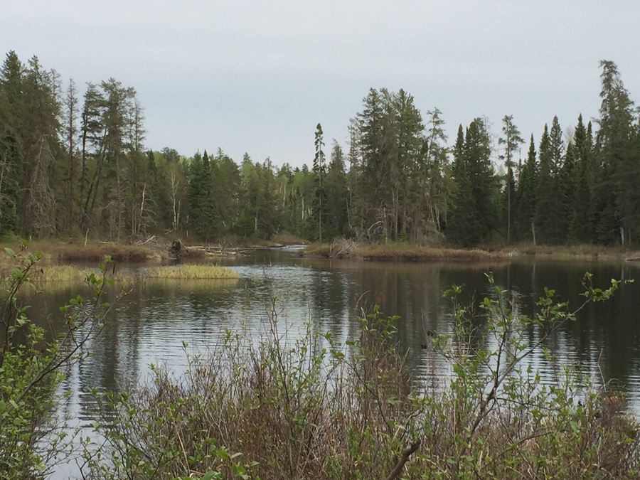 The Kawishiwi River in the BWCA